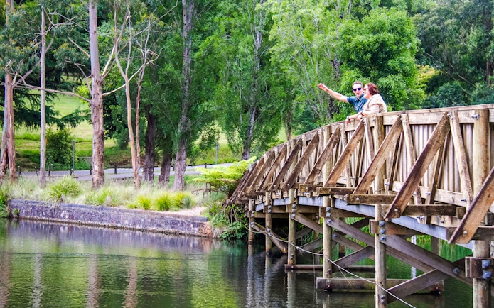 Couple on Lakeside discovery walk bridge, part of Puffing Billy tour, Melbourne.