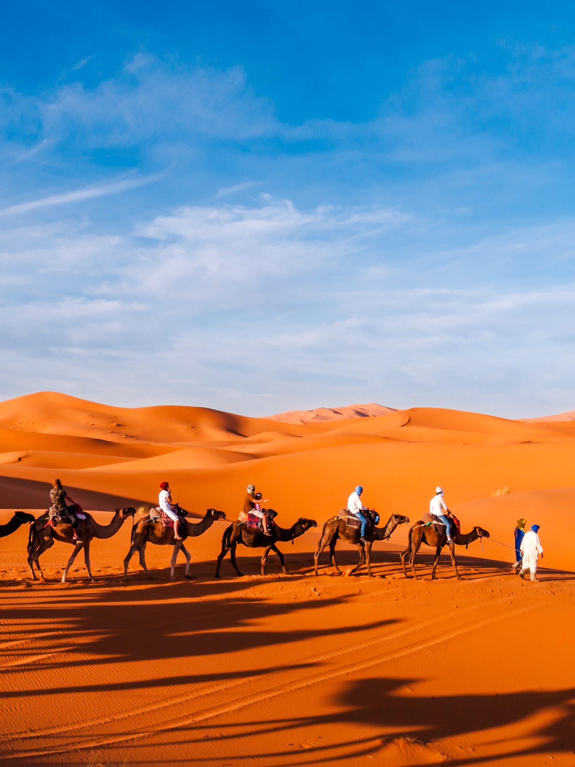 Camel ride through the Sahara Desert dunes under a clear blue sky.