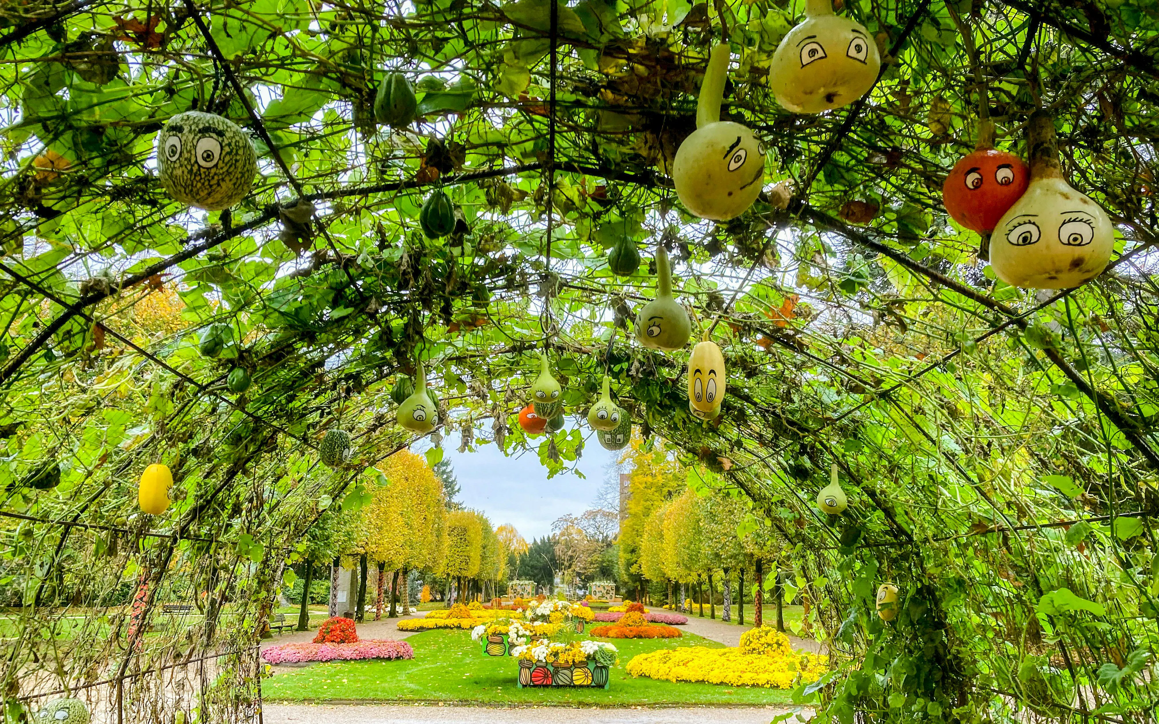 Gourds with faces hanging in Rouen Botanical Garden, Normandy, France.