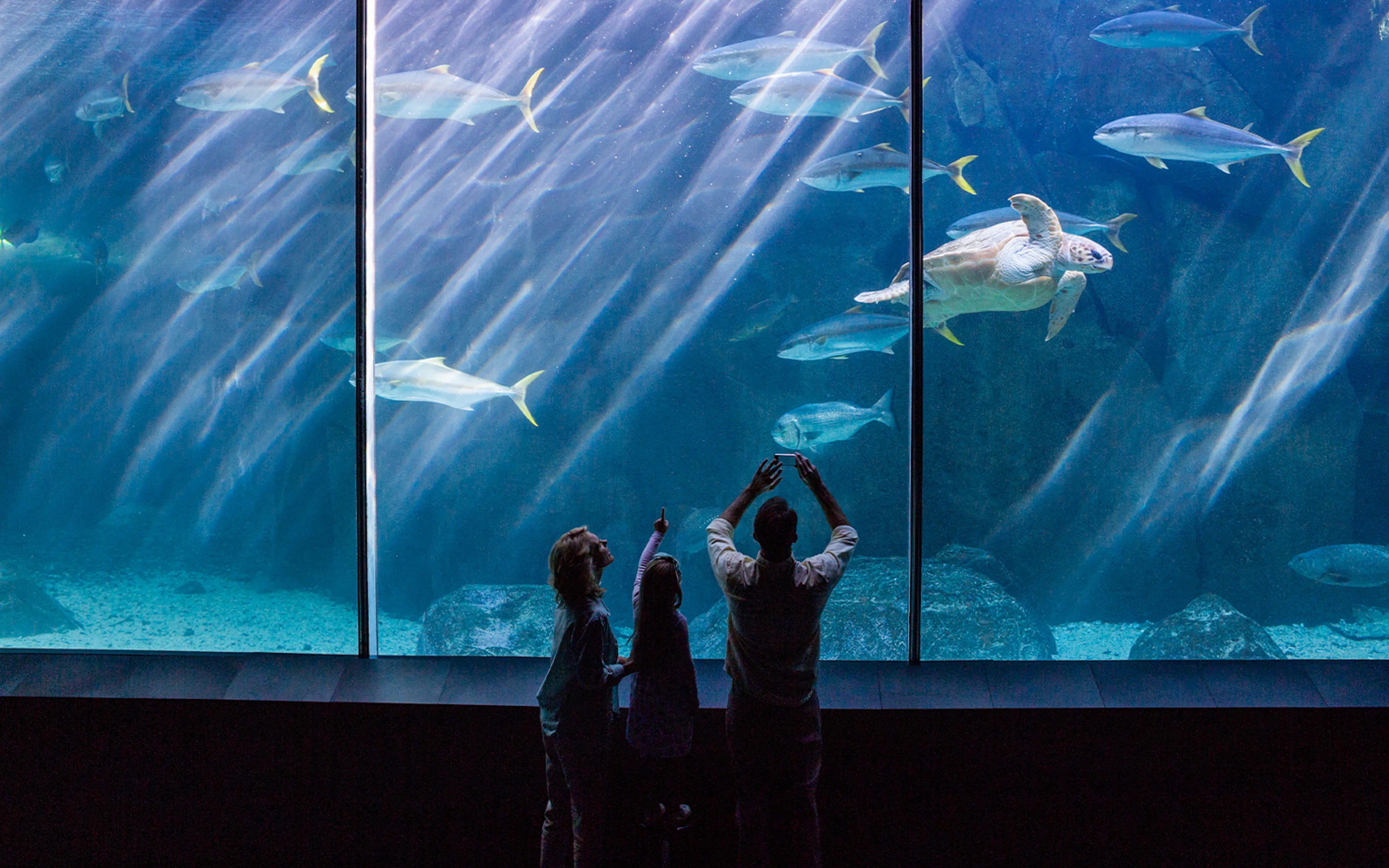 Family observing marine life at Paris Aquarium.