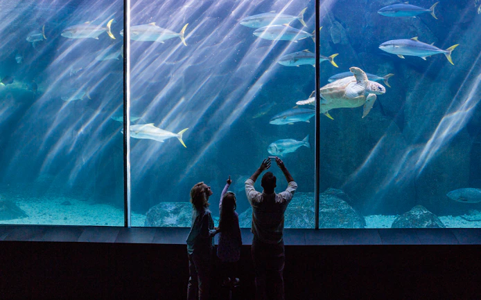 Family observing marine life at Seville Aquarium.