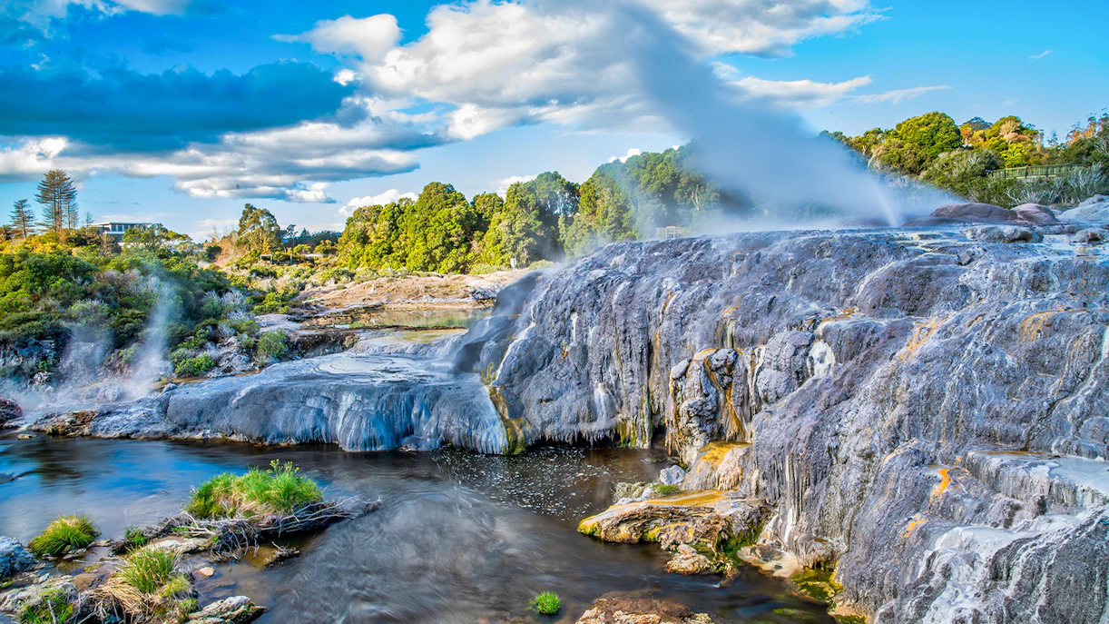Geyser erupting at Te Puia Rotorua with surrounding lush greenery and blue sky.