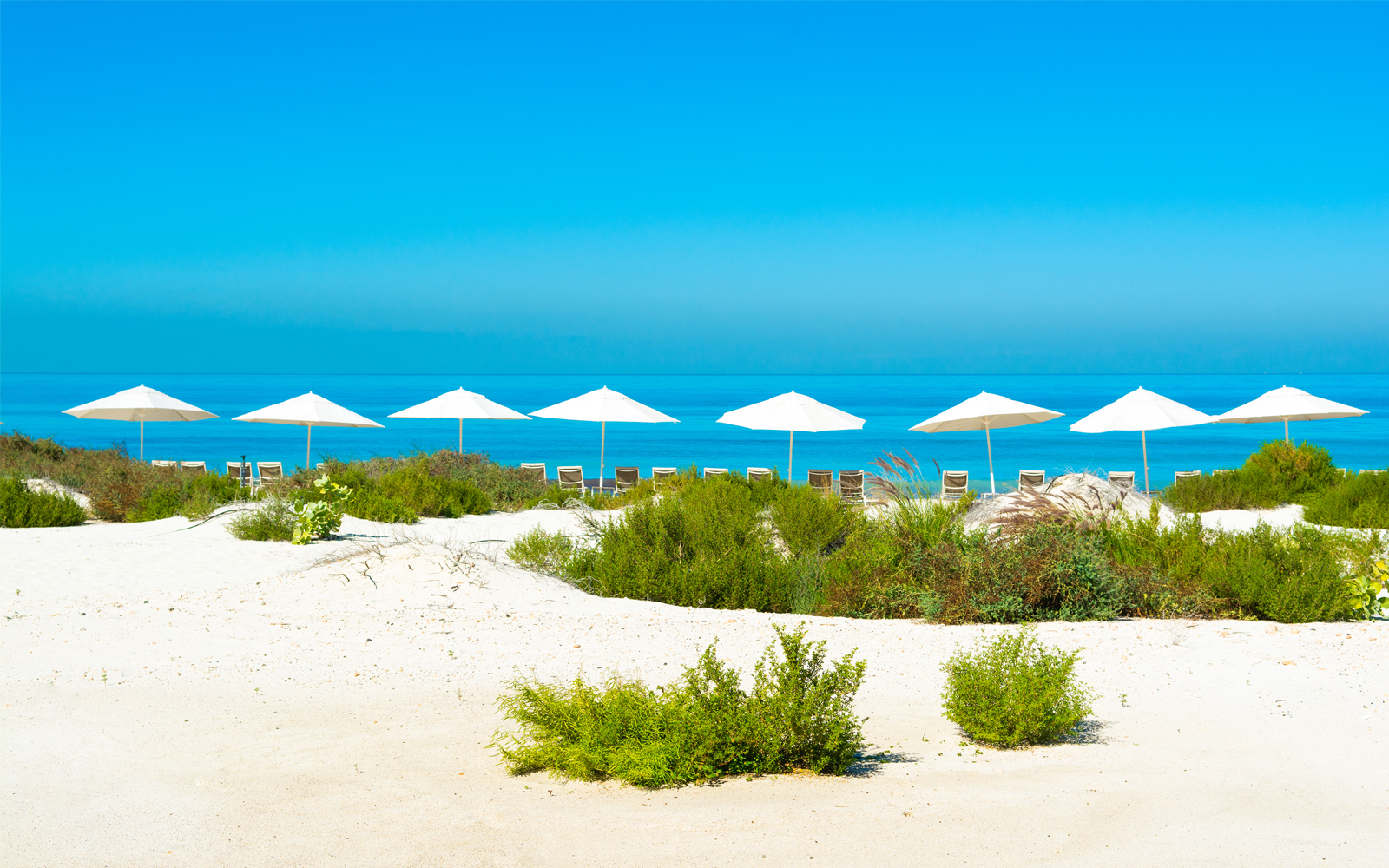 Saadiyat Beach Club Abu Dhabi