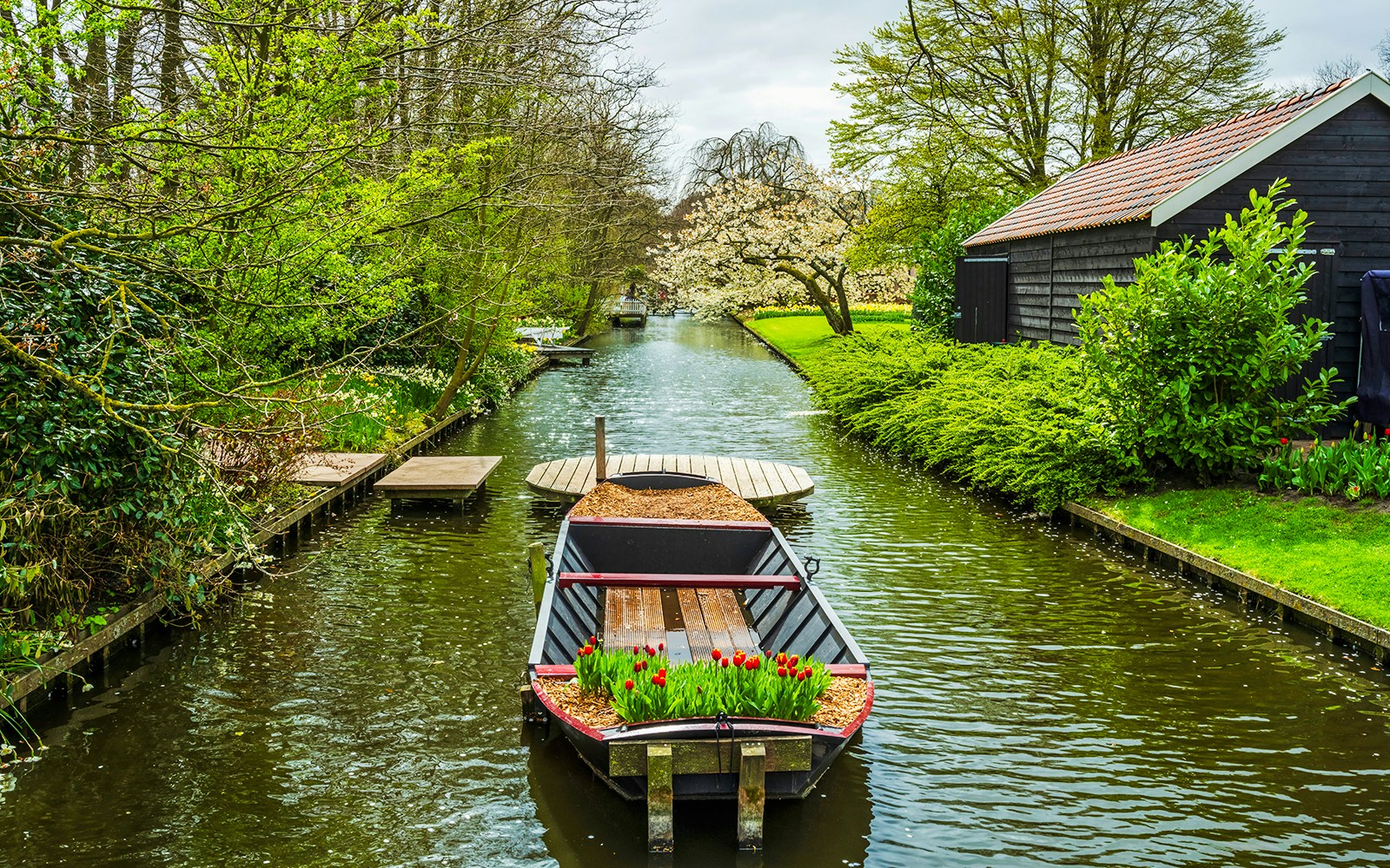 Whisper boat on canal with tulips at Keukenhof, Netherlands.