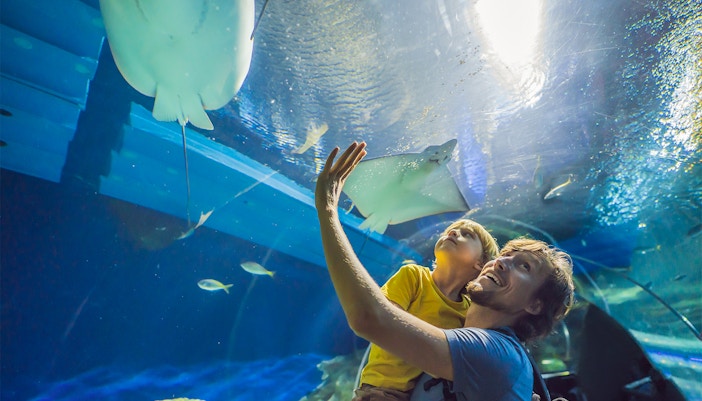 Dubai Aquarium Tickets