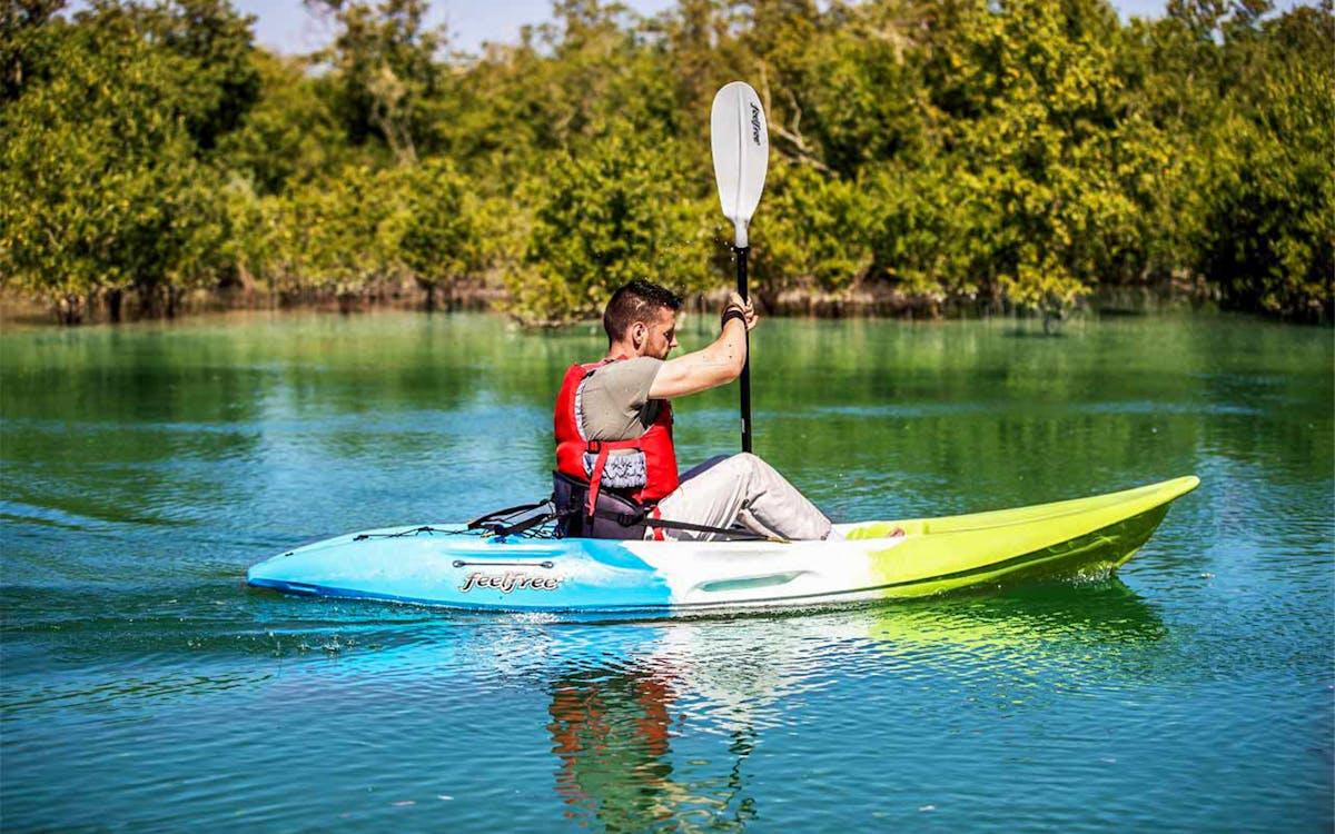 mangrove kayaking tour-4 mangrove kayaking tour-4