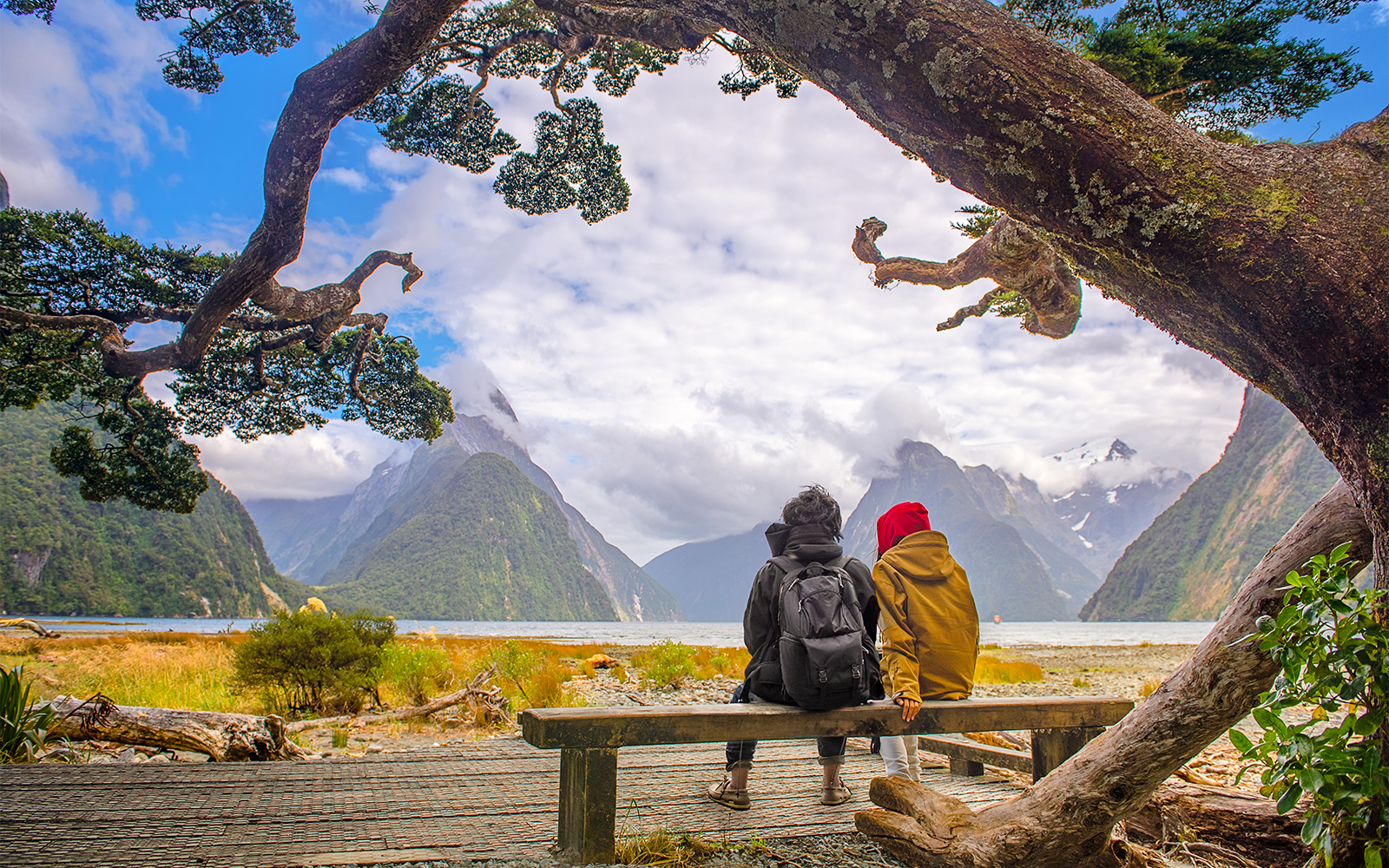 The scenery view of landscape of Milford Sound