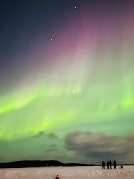 Northern lights illuminating the night sky over snowy Lapland landscape.