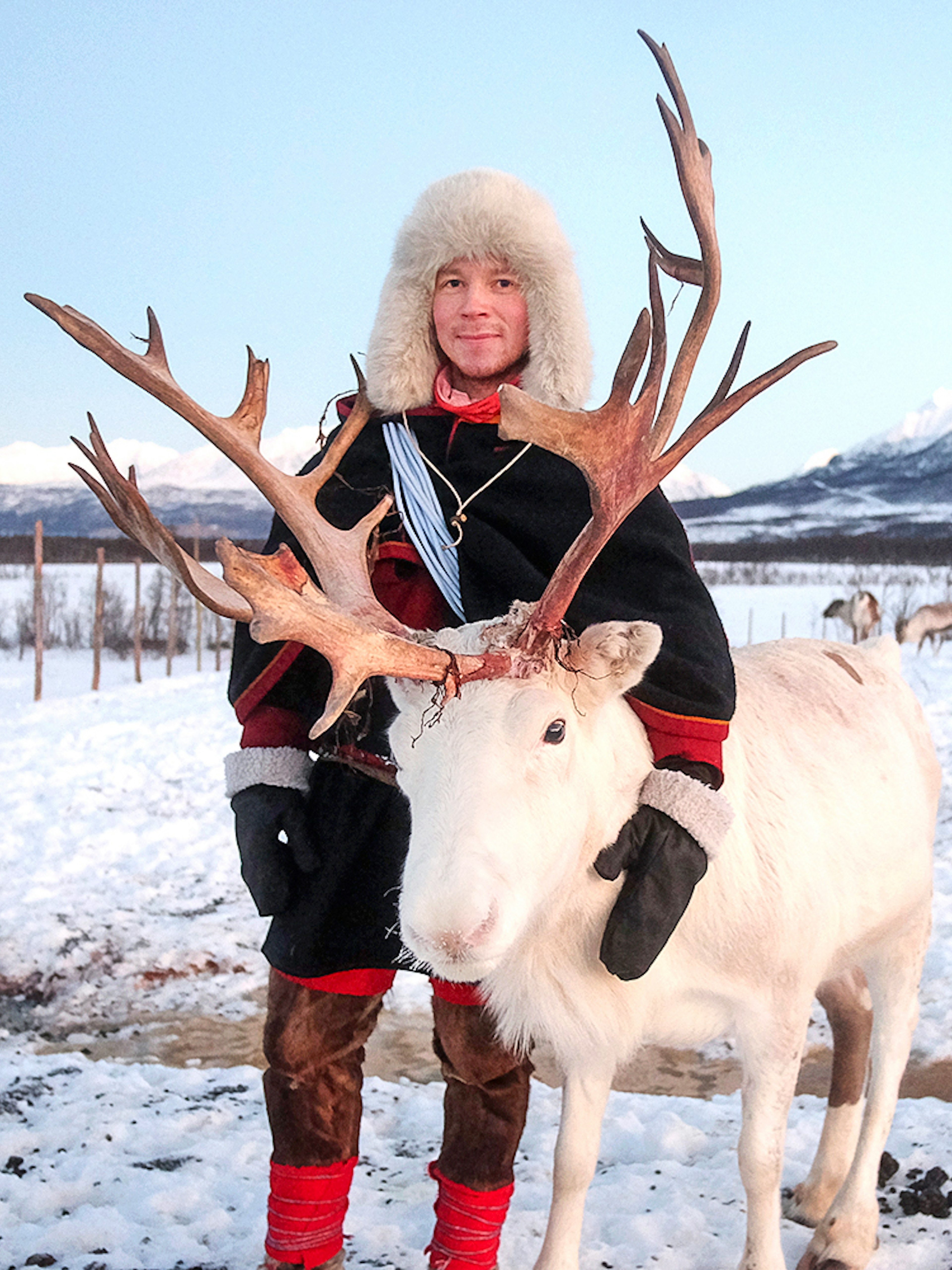 Reindeer with Sami person in traditional attire in snowy landscape.