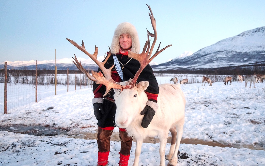 Reindeer with Sami person in traditional attire in snowy landscape.