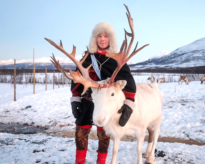 From Tromso: Reindeer Feeding and Sami Culture Tour with Lunch