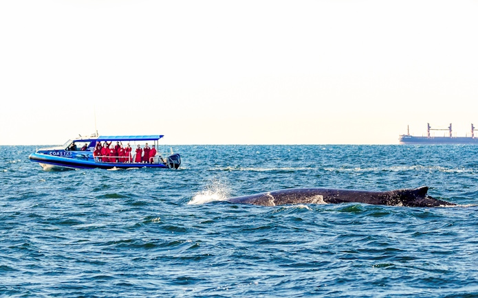 Boat with people whale watching on Lake Macquarie, Australia.