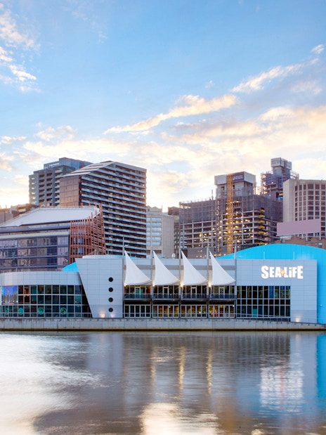 Sea Life Melbourne Aquarium exterior with city skyline in the background.