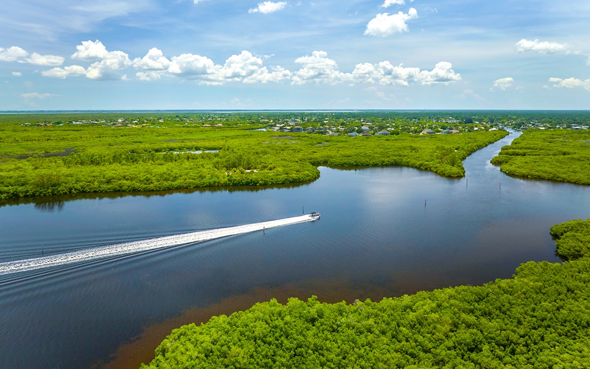 Everglades airboat gliding through lush wetlands, showcasing scenic waterways.