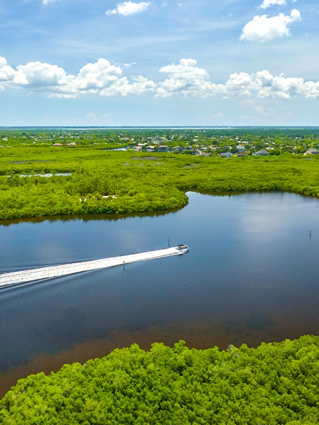 Everglades airboat gliding through lush wetlands, showcasing scenic waterways.