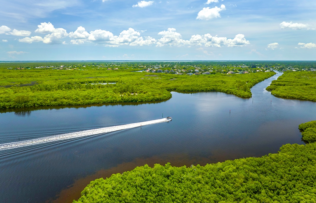 Everglades airboat gliding through lush wetlands, showcasing scenic waterways.