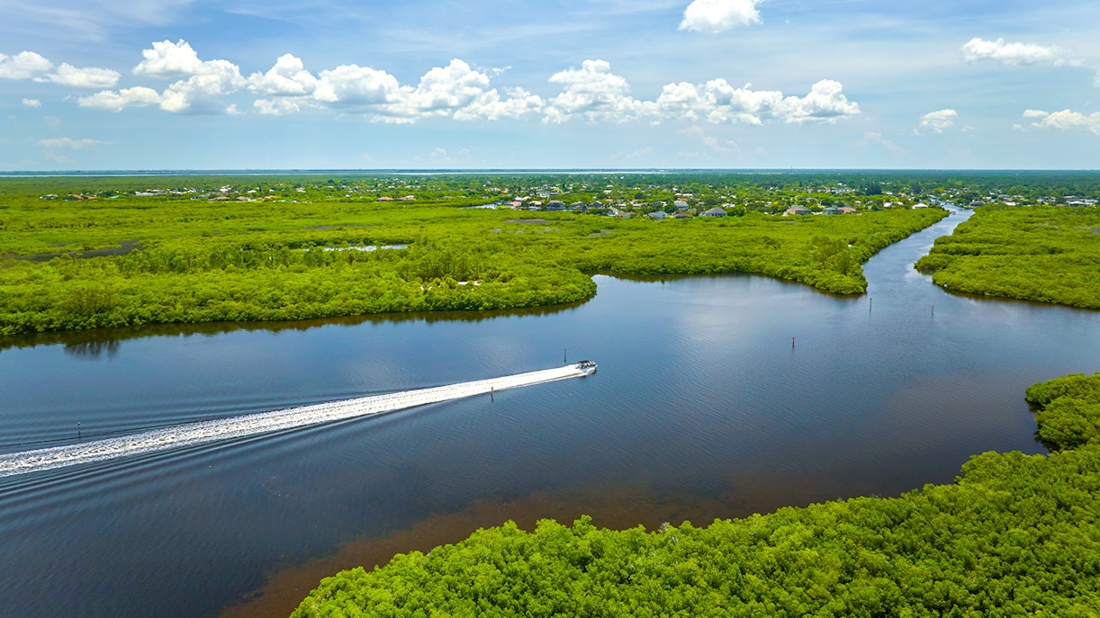 Everglades airboat gliding through lush wetlands, showcasing scenic waterways.
