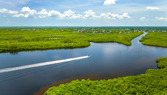 Everglades airboat gliding through lush wetlands, showcasing scenic waterways.
