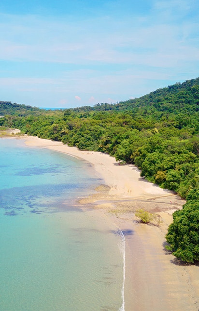 Cape Tribulation beach with lush greenery and clear blue waters in Queensland, Australia.