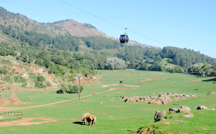 Aerial view of elephants and cable car at Cabarceno Natural Park, Cantabria.