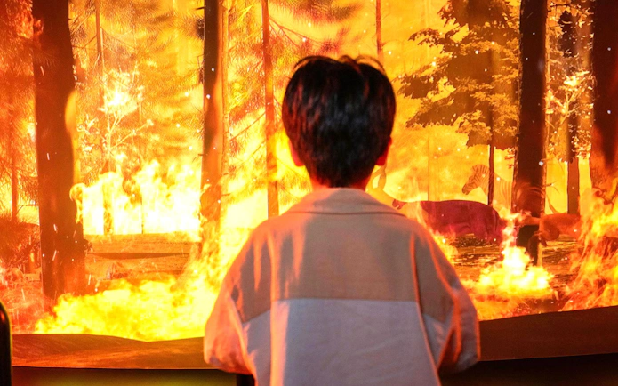 Child observing forest fire with animals, highlighting environmental impact for Better World Better Future.