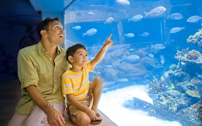 Father and son observing fish at Sea Life Park Hawaii aquarium.