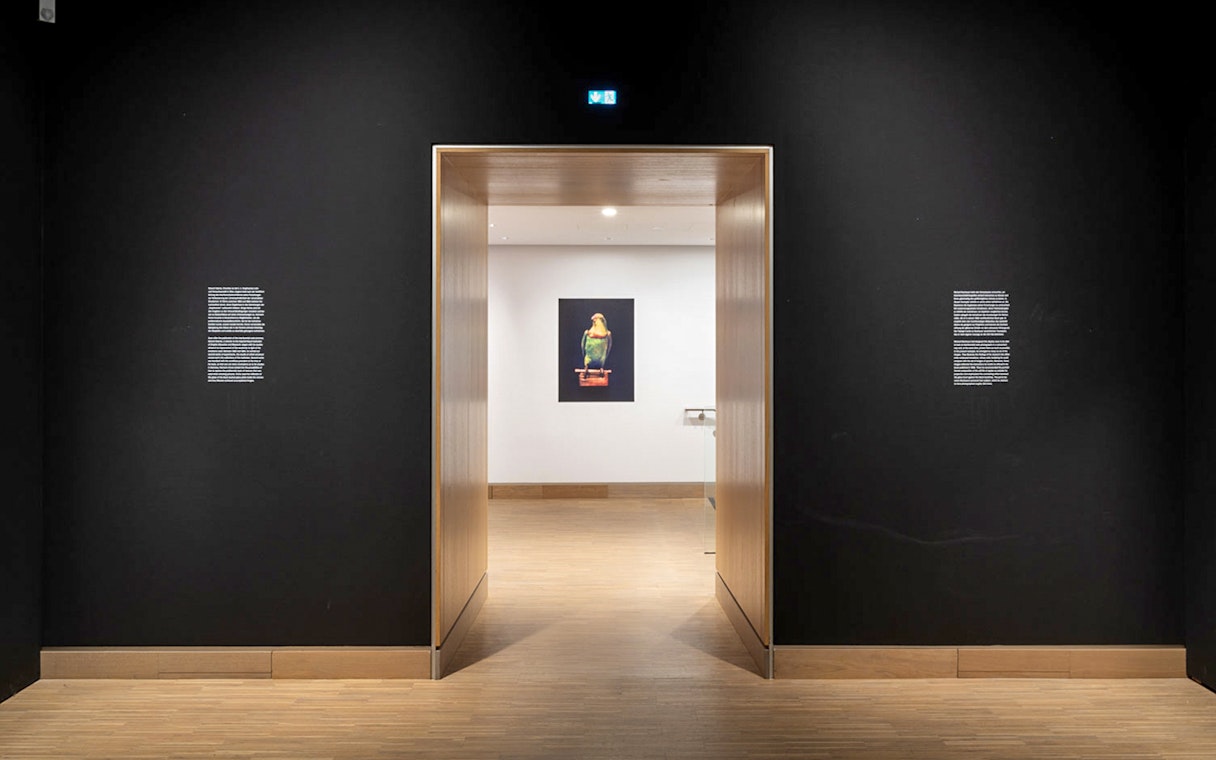 Exhibit entrance at ALBERTINA MODERN Vienna with artwork in view.