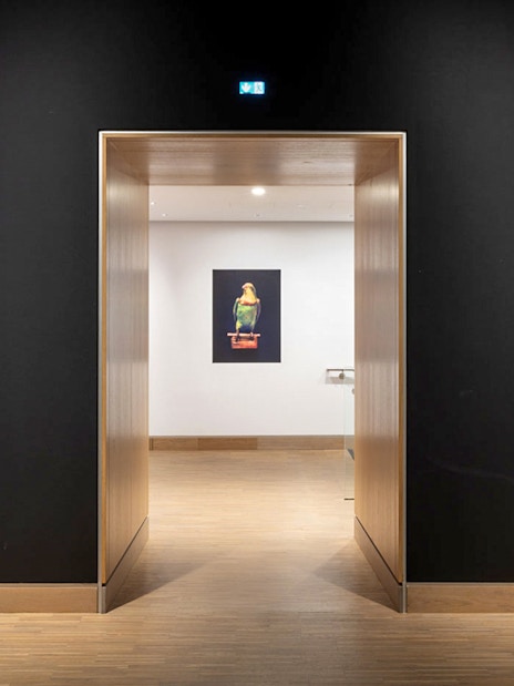 Exhibit entrance at ALBERTINA MODERN Vienna with artwork in view.