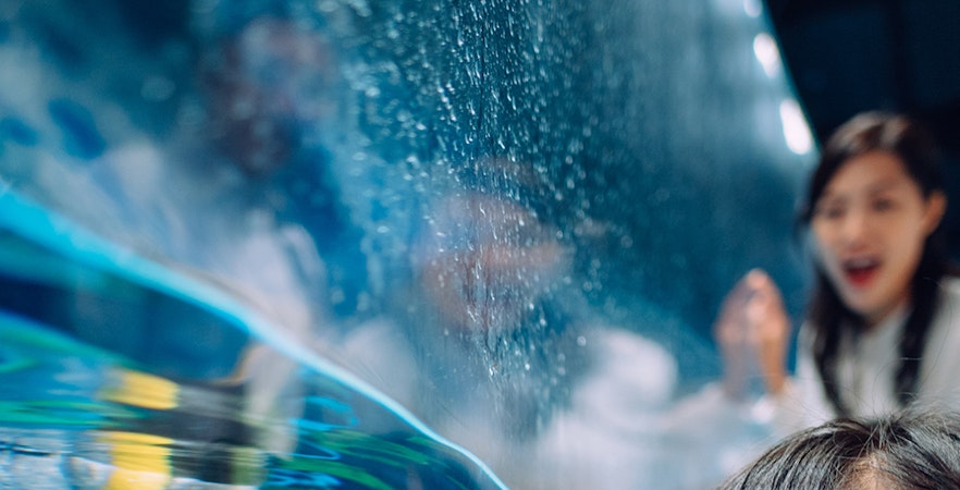 Billets pour Ocean Park Hong Kong