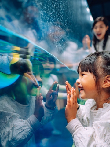 Child enjoying penguin exhibit at South Pole Spectacular, Ocean Park, Hong Kong.