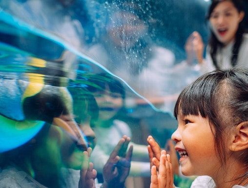 Child enjoying penguin exhibit at South Pole Spectacular, Ocean Park, Hong Kong.