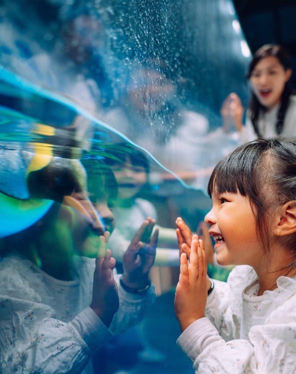 Child enjoying penguin exhibit at South Pole Spectacular, Ocean Park, Hong Kong.