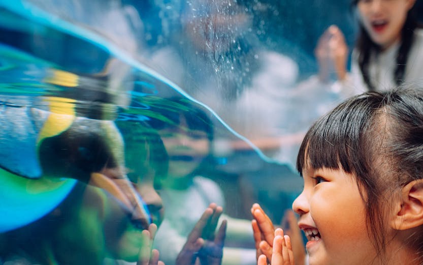 Child enjoying penguin exhibit at South Pole Spectacular, Ocean Park, Hong Kong.