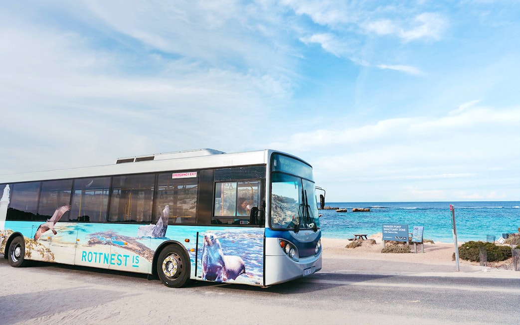 Bus on Rottnest Island near beach, part of guided tour from Perth or Fremantle.