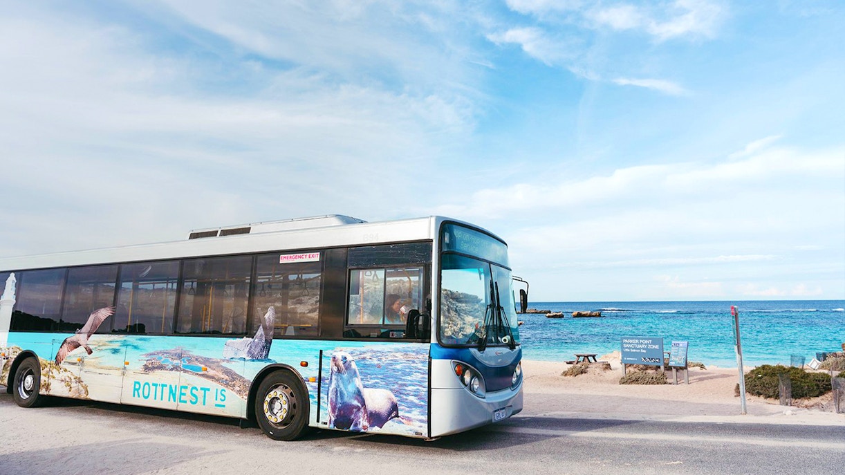 Bus on Rottnest Island near beach, part of guided tour from Perth or Fremantle.