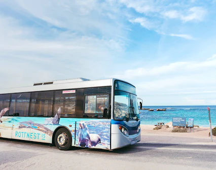 Bus on Rottnest Island near beach, part of guided tour from Perth or Fremantle.