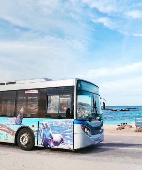 Bus on Rottnest Island near beach, part of guided tour from Perth or Fremantle.