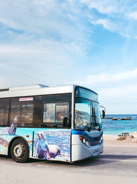 Bus on Rottnest Island near beach, part of guided tour from Perth or Fremantle.