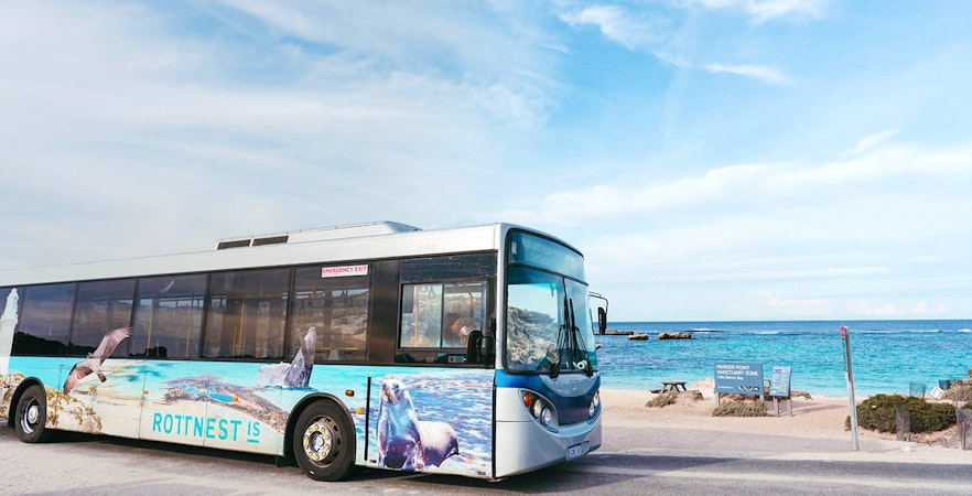 Bus on Rottnest Island near beach, part of guided tour from Perth or Fremantle.
