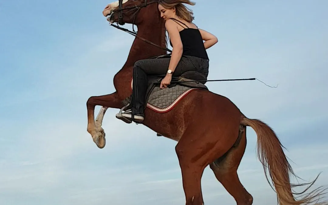 1 saatlik premium elit çöl at binme macerası - hurghada-10