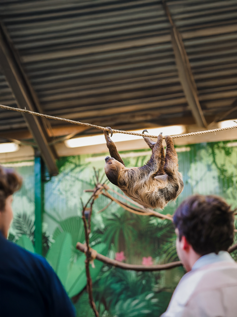 Edinburgh Hayvanat Bahçesi