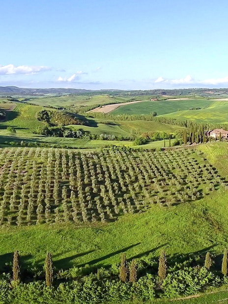 Aerial view of Chianti winery with vineyards and Tuscan landscape.