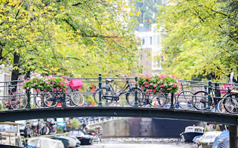 Bicycles on a bridge over a canal in Amsterdam, surrounded by greenery and flowers.