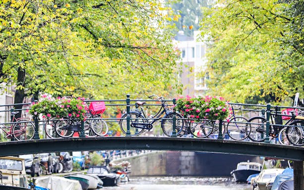 Bicycles on a bridge over a canal in Amsterdam, surrounded by greenery and flowers.