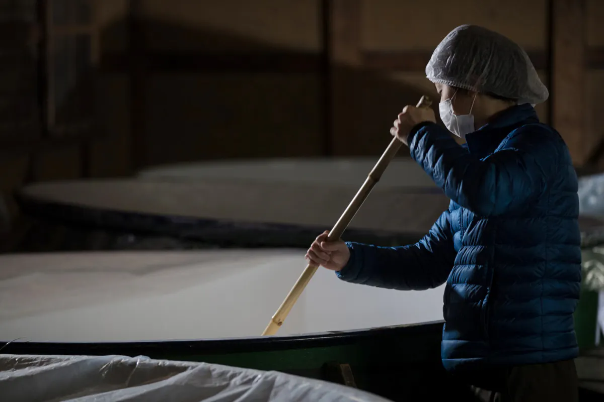 Person stirring sake mash at Takeno Sake Brewery, Kyoto.
