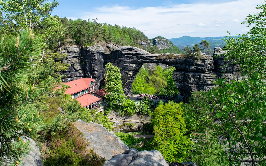 Pravčická Brána rock arch surrounded by lush greenery in Bohemian Switzerland.