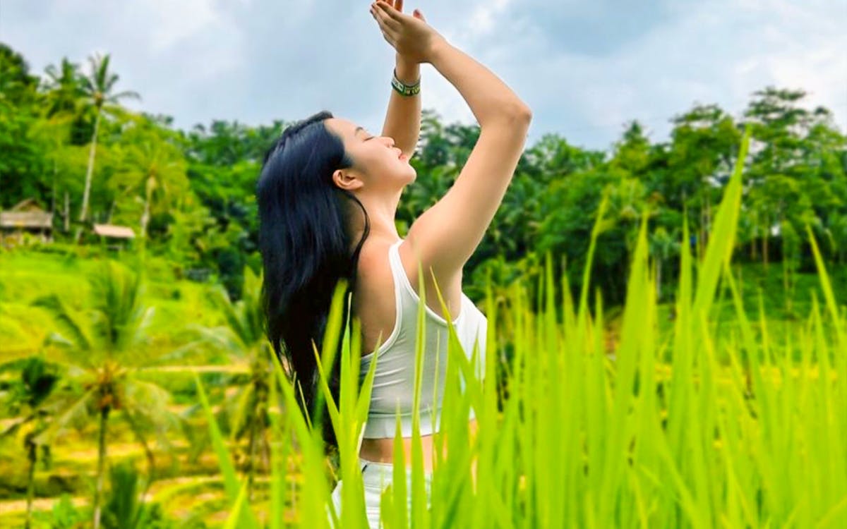guided day tour of ubud with round-trip hotel transfers-1 guided day tour of ubud with round-trip hotel transfers-1