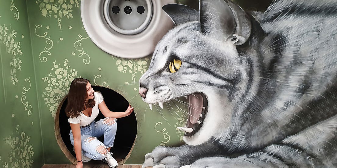 Museum of Fantastic Illusions