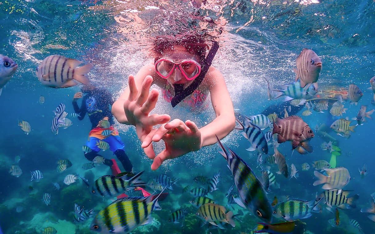 Snorkeler surrounded by colorful fish in clear waters on Nemo Island day trip from Pattaya.