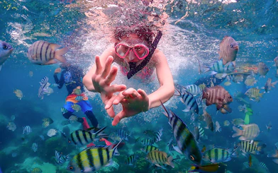 Snorkeler surrounded by colorful fish in clear waters on Nemo Island day trip from Pattaya.